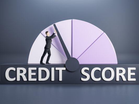 You might not get a loan because of Credit score